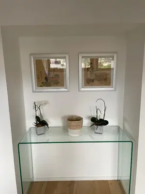 a glass shelf with two plants and two pictures at Beautiful modern apartment in Cannes in Cannes
