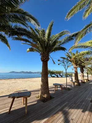 a boardwalk on the beach with palm trees and benches at AgarrusRentals 70m2, 2 chambres pour 4 Personnes avec bébé avec Terrasses a 200m des Plages, Palmbee Cannes in Cannes