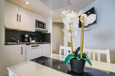 a kitchen with a table with a plant on it at Le Cannes Beach 799 - terrasse vue mer panoramique in Cannes