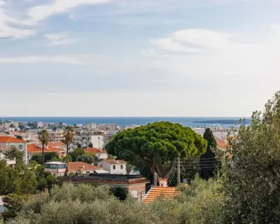 a tree in the middle of a city at Le Royal in Cannes