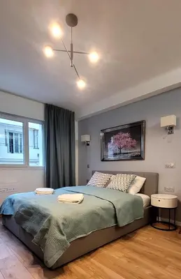 a bedroom with a large bed in a room at Cozy studio in the heart of Cannes in Cannes