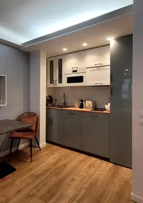 a kitchen with stainless steel appliances and a table at Cozy studio in the heart of Cannes in Cannes