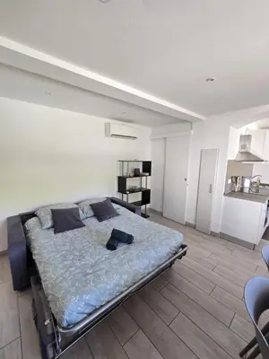 a bedroom with a large bed in a room at Superbe Appartement Familial in Cannes