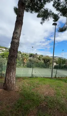 a tree in front of a tennis court at Vue mer imprenable, piscine à débordement - Cannes in Cannes