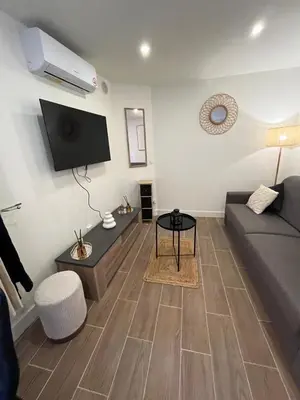 a living room with a couch and a tv at Palais des festivals Studio meublé in Cannes