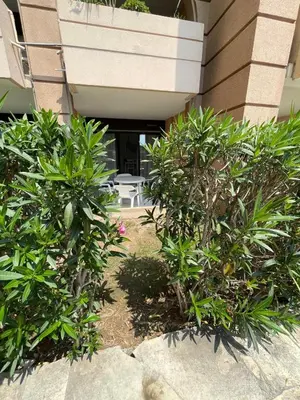 a group of plants in front of a building at Appartement Cannes, Piscine - Terasse - 4 Personnes in Cannes