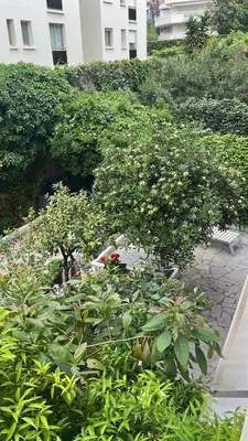 a garden with plants and trees and a building at Positive in Cannes