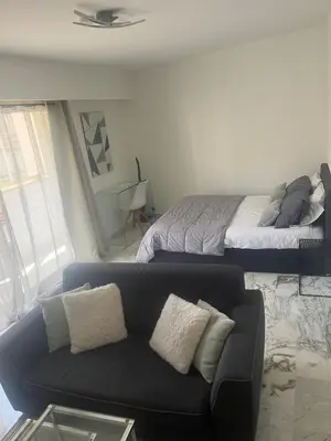 a living room with a couch and a bed at Studio meublé, les tambourins in Cannes