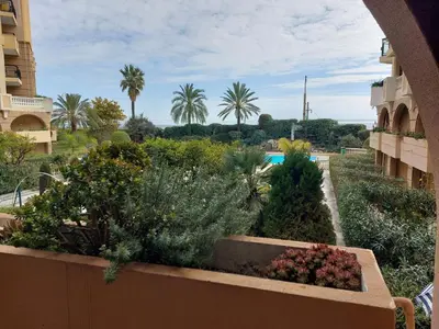 a balcony with a garden of plants and palm trees at CARIBOU T2 piscine - Axelle Loc'Appart in Cannes