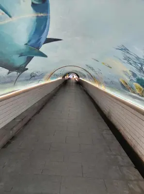 a long tunnel with a painting on the wall at Appartement rénové proche plage in Cannes