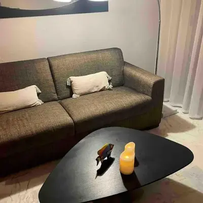 Apartment Cannes Croisette near seaside