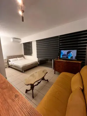a living room with a couch and a tv at Large Studio in Cannes near la Croisette and beach in Cannes