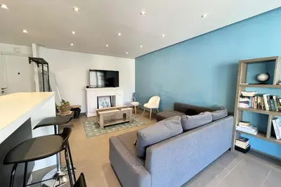 a living room with a couch and a fireplace at T2 apartment with terrace in Cannes in Cannes
