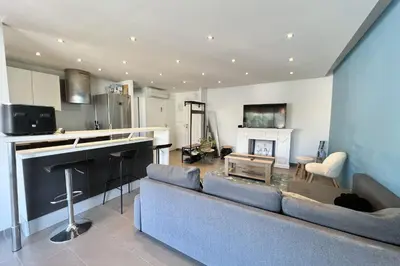 a living room with a couch and a fireplace at T2 apartment with terrace in Cannes in Cannes