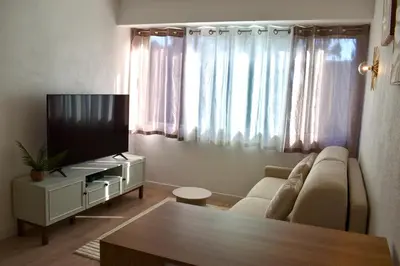 a living room with a couch and a tv at Cosy Studio Cannes in Cannes