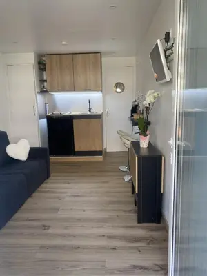 a living room with a couch and a kitchen at Studio cosy Cannes à 250 m de la plage, pointe Croisette in Cannes