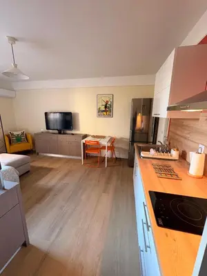 a kitchen and living room with a counter top at Le Tassigny #Central #Quiet #Air conditioning #Wifi in Cannes