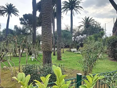 a group of palm trees in a park at A deux pas des plages piscine 346L FRANCHI in Cannes