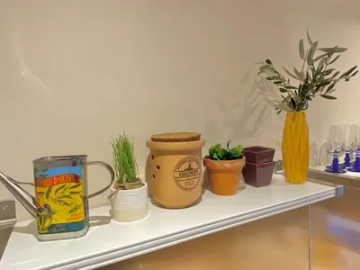 a shelf with pots and potted plants on it at Great flat! 12 minute walk from train station and Palais in Cannes