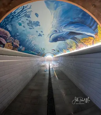 a tunnel with a mural of a dolphin on the ceiling at Beautiful apartment with sea view in Cannes 5 pers in Cannes