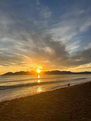 a sunset on the beach with a dog on the beach at Cosy a 3 min de la plage avec parking privé in Cannes
