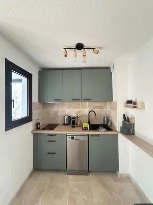 a kitchen with green cabinets and a sink at Cosy a 3 min de la plage avec parking privé in Cannes