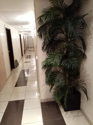 a hallway with a plant on the wall at Studio centre Cannes, piscine, climatisation in Cannes