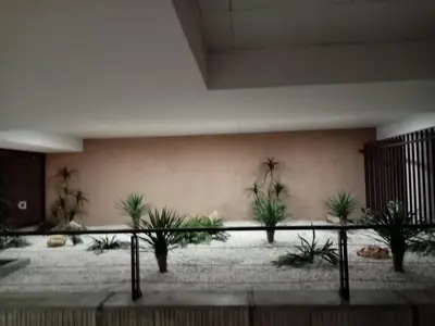 a room with a bunch of plants against a wall at Studio centre Cannes, piscine, climatisation in Cannes