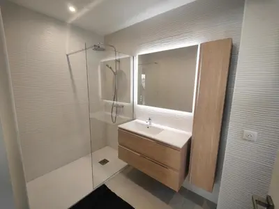 a bathroom with a sink and a glass shower at studio la mimosette in Cannes