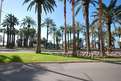 a park with palm trees and flowers on a street at One bedroom apartment Palm Beach in Cannes