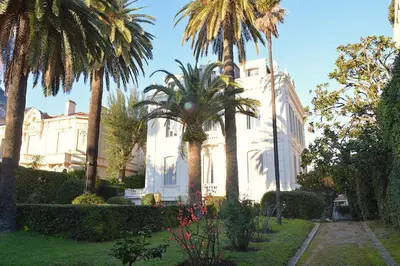 a white house with palm trees in front of it at Charming Apartment Cannes City Center and Beaches in Cannes