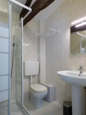 a bathroom with a toilet and a sink at Villa Divona - central gem with sunset balcony & pool in Cannes
