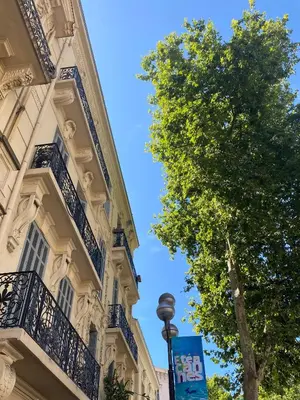 a building with a tree next to a street light at Elégant T3 Cannes centre, 10 mn à pieds Palais, Croisette in Cannes