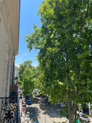 a street in the city with trees and a building at Elégant T3 Cannes centre, 10 mn à pieds Palais, Croisette in Cannes