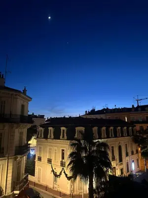 a building with a palm tree in front of it at night at Cannes Centre Mimosas 1 chambre Salon in Cannes