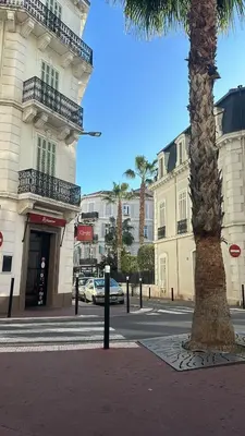 a palm tree in front of a building at Cannes Centre Mimosas 1 chambre Salon in Cannes