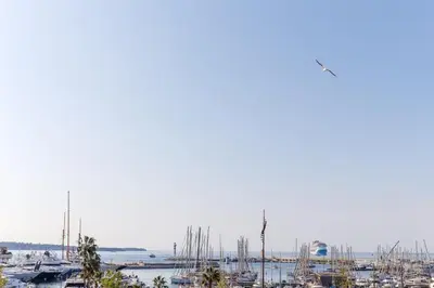 a group of boats docked in a harbor at Una Rosa Blu YourHostHelper in Cannes
