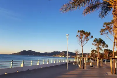 a boardwalk with palm trees and the ocean at Peaceful villa with pool and garden - 5 minutes from Cannes beaches in Cannes