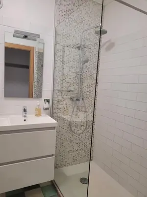 a bathroom with a shower and a sink at Center Cannes Hippocampe in Cannes