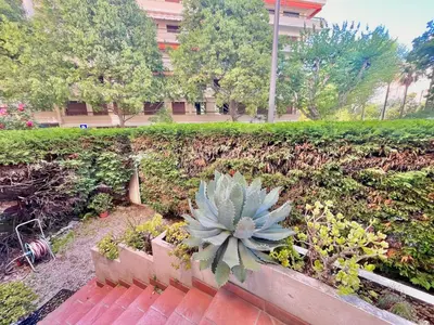 a succulent plant sitting on a walkway in a garden at Two rooms near Martinez in Cannes