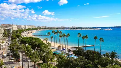 a view of a beach with palm trees and the ocean at French Dolce Vita near Croisette in Cannes