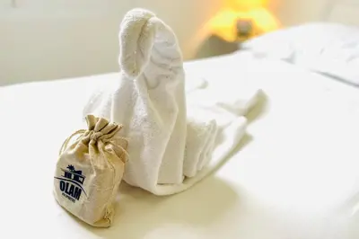 a pair of towels sitting on top of a bed at Bright and vast studio terrace easy parking Cannes heart of town 1 mn in Cannes