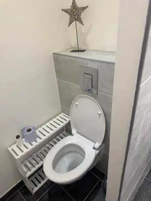 a bathroom with a toilet with a star on the wall at Appartement cosy in Cannes