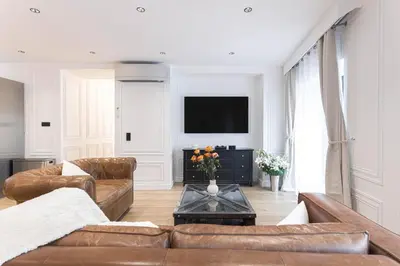 a living room with two brown couches and a tv at Gatsby Chic & Elegance & Billiards & Fitness & Luxury in Cannes