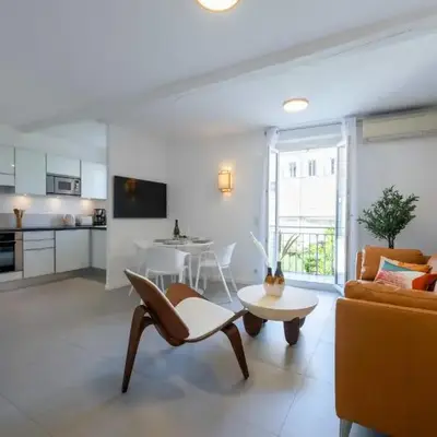 2-Br Apartment Terrace Cannes City Centre