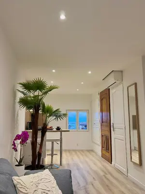 a living room with a table and a palm tree at Studio Vue Mer au coeur du Suquet in Cannes