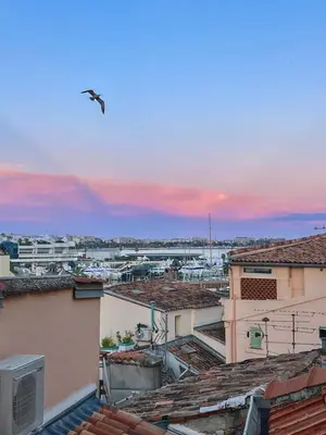 a bird flying in the sky over roofs at Studio Vue Mer au coeur du Suquet in Cannes