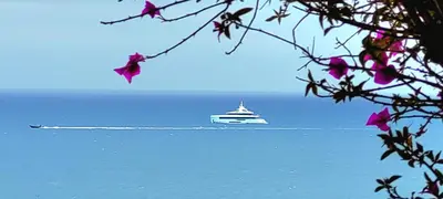 a boat in the water with a trail at Theo'z apartments in Cannes
