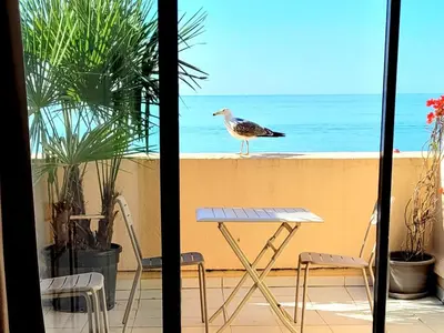 a bird standing on a wall next to a table and chairs at Theo'z apartments in Cannes