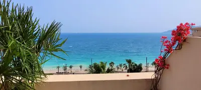 a view of the beach from a balcony with flowers at Theo'z apartments in Cannes